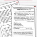 Caderno de Atividades Leitura e Interpretação de Textos (4° e 5° ano)